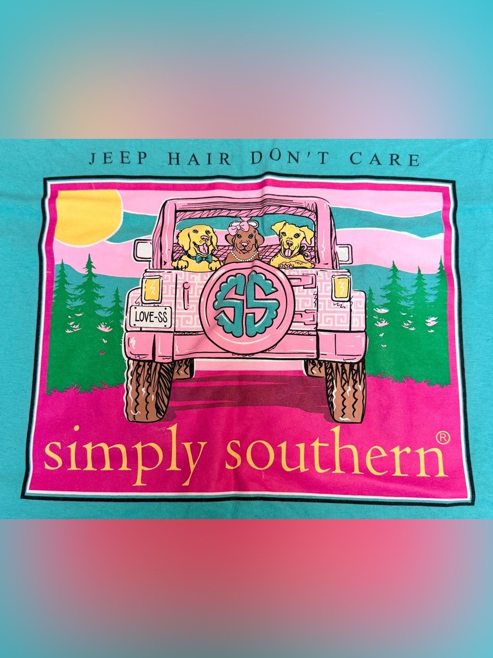 Simply Southern Shirt Womens Large Teal Long Sleeve Jeep Hair Don’t Care Dogs Gr